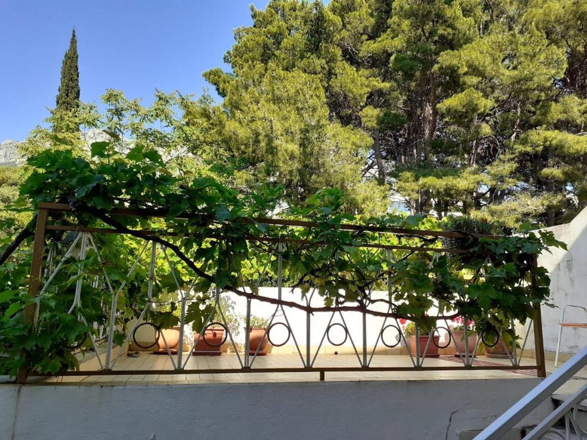 Palma Apartments Podgora Dış mekan fotoğraf